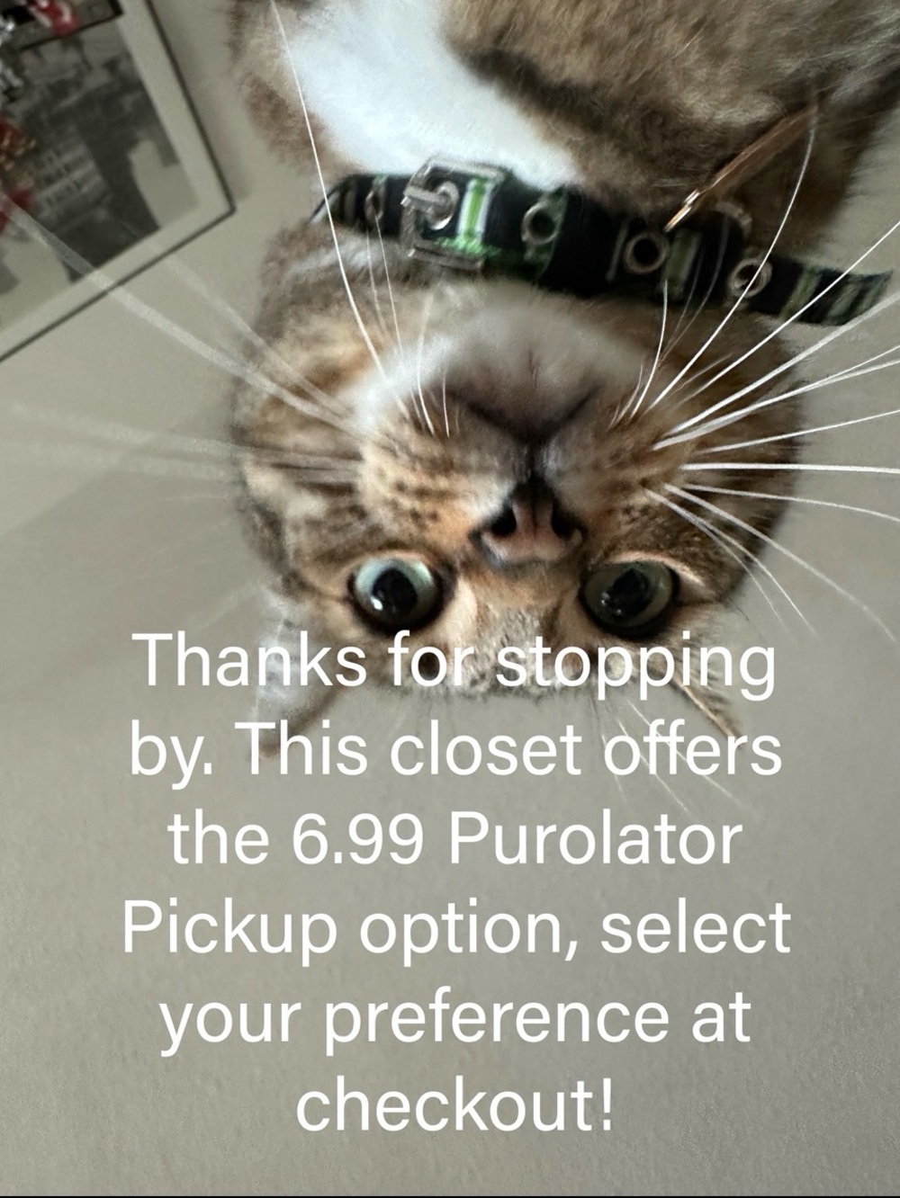 THIS CLOSET OFFERS 6.99 PUROLATOR PICKUP SHIPPING OPTION!